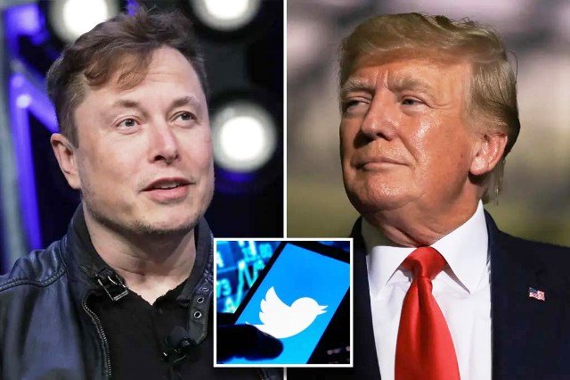 Elon Musk, Trump