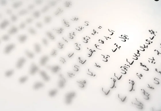 The World Urdu Conference will be held in America, Canada and Dubai next summer