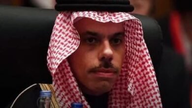 WEAPONS NOT DISCUSSED AT SINO-ARAB SUMMIT, SAUDI FOREIGN MINISTER