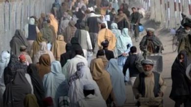 12 Days Left For Illegal Residents To Leave Pakistan