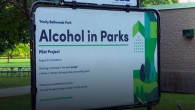 A Pilot Project For Drinking Alcohol In Toronto's Parks Has Been Extended Until March 31