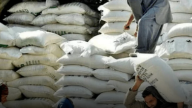 Ban On Import Of Wheat At Ports, Fears Of Possible Crisis Of Wheat And Flour