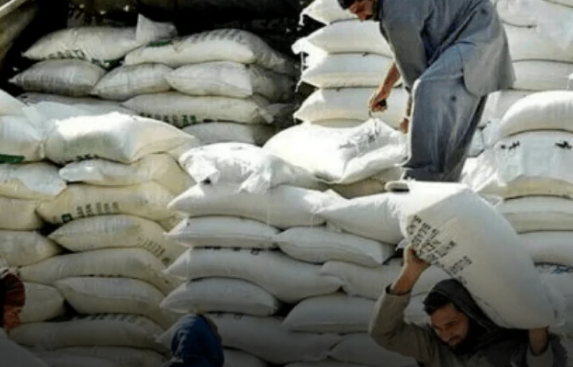 Ban On Import Of Wheat At Ports, Fears Of Possible Crisis Of Wheat And Flour