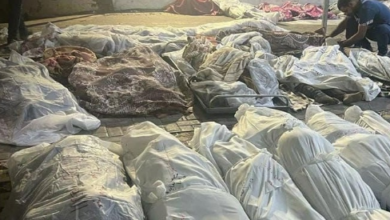 Genocide continues in Gaza by Israel, the number of martyred children exceeds 2 thousand