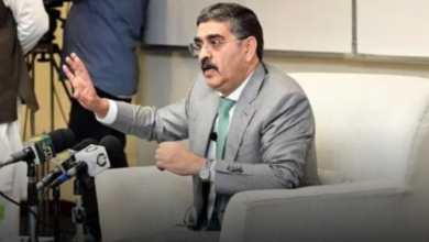 If It Was My Job To Announce The Elections, When Would I Have Done It, Anwar Ul Haq Kakar