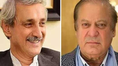 Nawaz Sharif And Jahangir Tareen Will Not Benefit From The Decision, Legal Experts