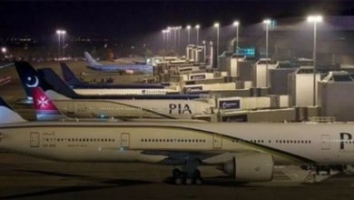 Non-Payment Of Dues, Pia Domestic Flights Affected