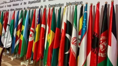 OIC calls on international parties to stop Israeli aggression in Gaza