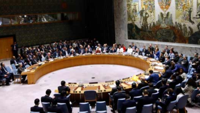 Security Council Russia's Palestine, Israel Cease Fire Resolution Rejected
