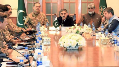 State Institutions, Government Departments And People Are United For The Development And Prosperity Of Balochistan, Apex Committee