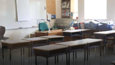 The Elementary Teachers' Federation Of Ontario, Canada, Supported The Strike