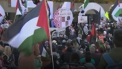 Thousands Of People Took To The Streets Of Toronto In Support Of The Palestinians
