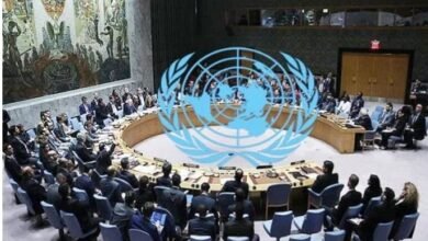 Israel-Palestine Ceasefire, Russia's Resolution Failed In The Security Council