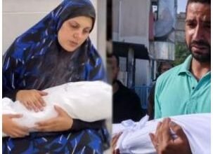 Genocide Of Innocent Palestinian Children In Gaza, The Number Of Martyred Children Exceeded 3500