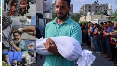 Israeli Bombardment On Gaza, 2 Thousand Students, 70 Teachers Were Also Martyred