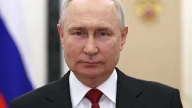 America And Its Accomplice Are Behind The Massacre Of Palestinians, Russian President