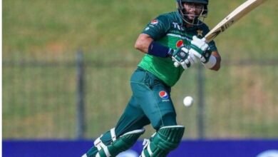 World Cup; Australia's Target Of 368 Runs, Pakistan's Batting Continues