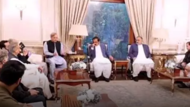 5 Former Members Of The National And Provincial Assembly Joined The Pml-N