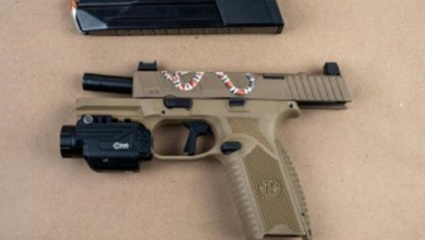 5 Punjabi boys arrested for possession of illegal weapons and drugs