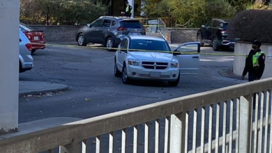 A person intentionally ran over four people, 1 killed, 3 injured