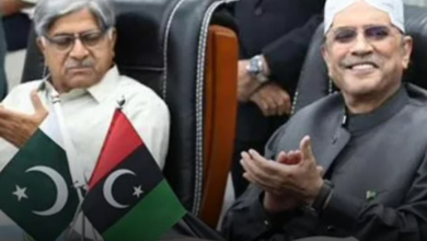 Asif Zardari, The Workers Should Prepare And Fight The Elections In A Full Way