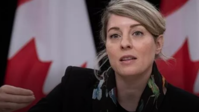 Canadians Will Soon Find A Way Out Of Gaza Jolie