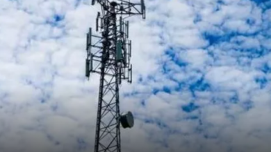 Concerned About Cell Phone Tower Radiation, Teachers Refuse To Work