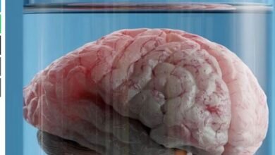 Invention Of A Device To Keep The Mind Active Without The Body