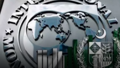 IMF's Satisfaction With Pakistan, Assurance Of Continued Cooperation