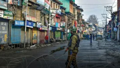 Kashmiris Around The World Are Celebrating Jammu Martyrs Day Today