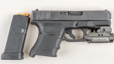 Loaded handgun recovered from stolen vehicle, four charged