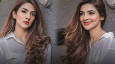 My Body, My Will Is The Correct Slogan, Rabab Hashem