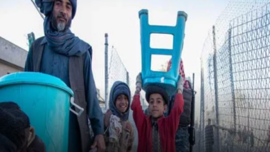 Pakistan Should Not Expel The Immigrants, There May Be Serious Consequences, United Nations