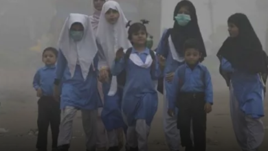 Smog , Schools Will Not Be Closed, Masks Are Necessary For Students
