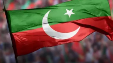 Tehreek-E-Insaf Declared Farah Gogi Irrelevant