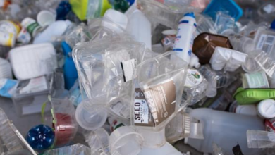 The Federal Court rejected the orders of the Cabinet to ban plastic