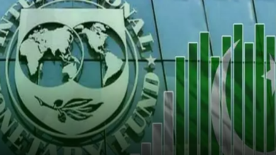 The Imf Asked For A Report On The Losses Of Government Institutions 