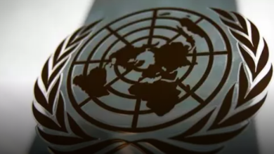 United Nations Organizations Have Called For A Ceasefire In Palestine