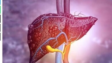 A New Treatment To Protect The Liver From Deadly Diseases Is Ready