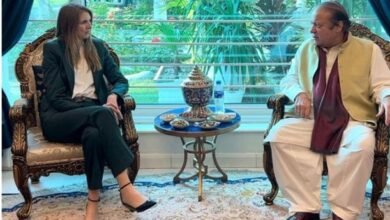 Meeting Of British High Commissioner In Pakistan With Nawaz Sharif