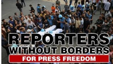 Massacre Of Journalists In Gaza, Journalist Organization Reached The International Court Of Justice