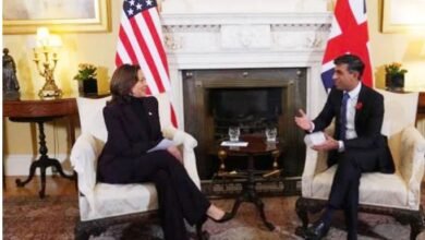 London, Kamla, Sonic Meeting, Hundreds Of Citizens Protest In Favor Of Palestine