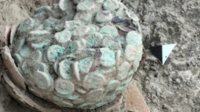 2000 year old coins found in Mohenjo Daro