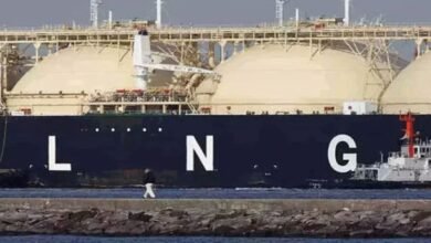 How Much Will Emirati And Chinese Companies Invest In Pakistan?