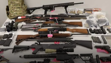 How Many Firearms Were Seized At Canada's Borders In 2023