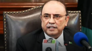 I Am A Politician, I Can Be The Next Prime Minister, Asif Radari