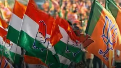 Modi's Party Won In Three Important States Of India
