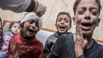 Negotiations suspended Israel s attacks on Gaza