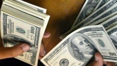 In The Current Financial Year, The Government Borrowed 7 Times More From Banks