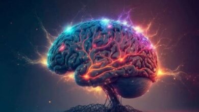 When And In Whom Did The First Mind In The World Exist?